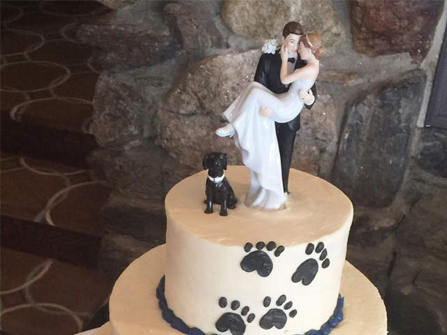 幸福滿滿《帶著狗狗一起結婚的主題蛋糕》狗狗也要成為一家人喔